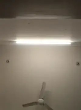 Freechat Anchal-8798 on StripChat