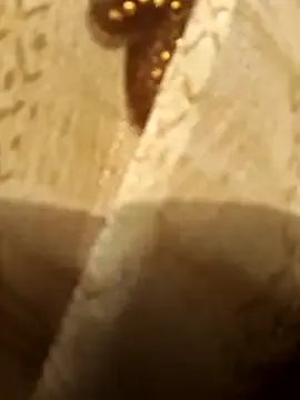 Fasfas2 on StripChat