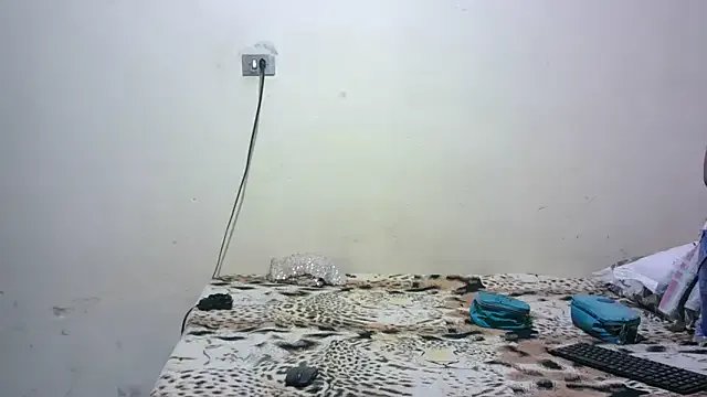 Freechat pornstarbrezillian on StripChat